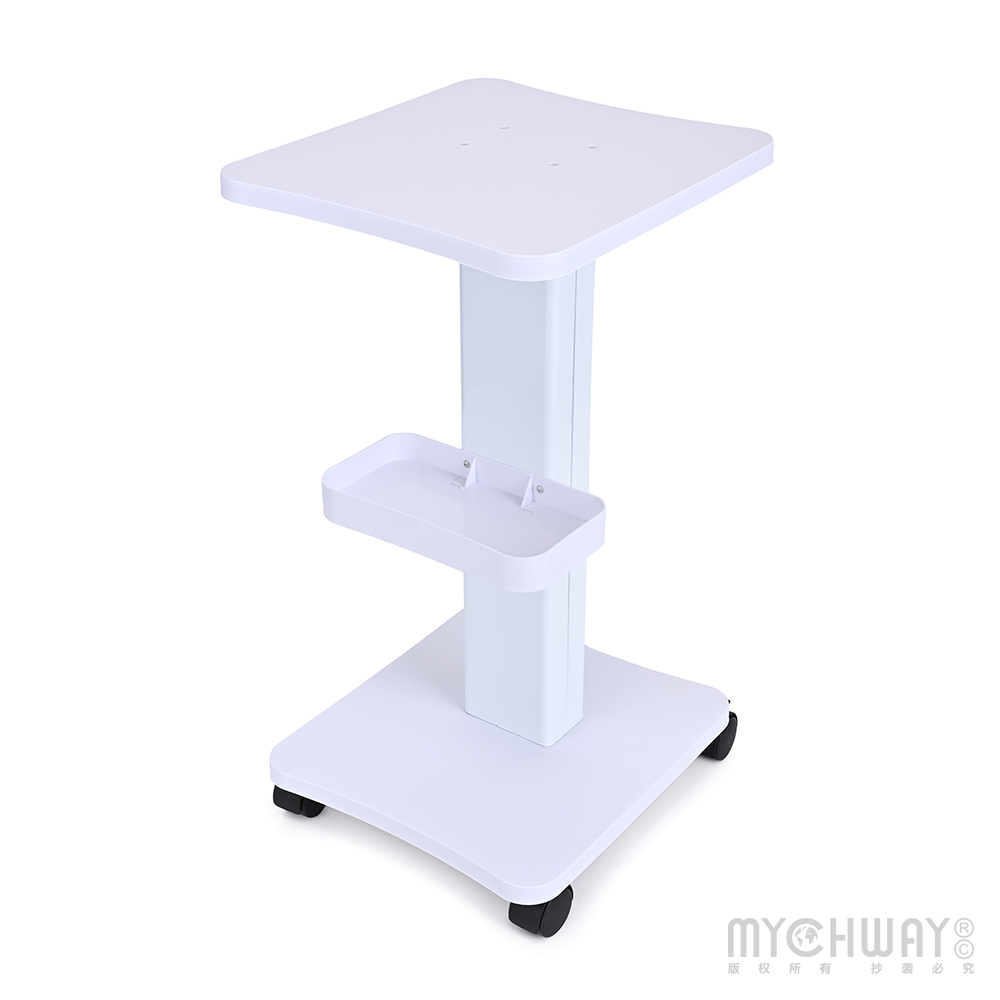 Rolling Trolley Cart Beauty Salon SPA Storage Equipment Machine Organizer Stand
